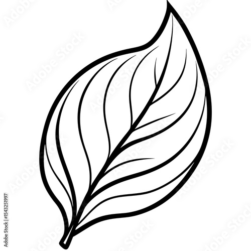 Whispering Leaf Silhouette