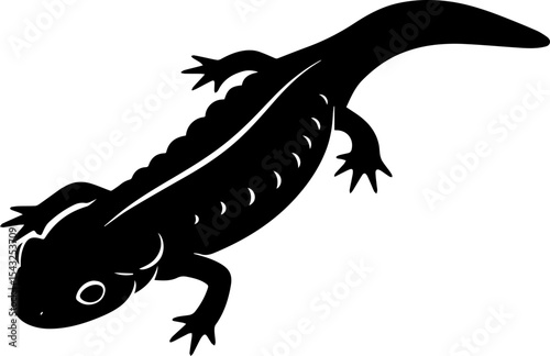 Lizard on white background
