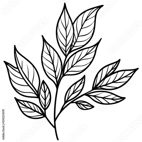 black and white flowers