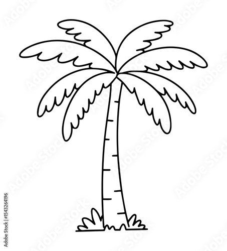 coconut palm tree outline vector illustration tropical monochrome line art