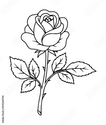 rose flower outline vector illustration romantic monochrome line art for wedding and love