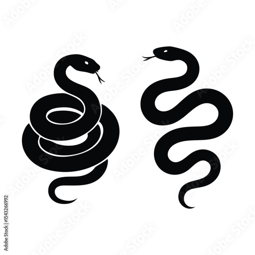 Angry Coiled Venomous Snake Silhouette, Two aggressive venomous snakes in coiled position raising hoods, bold black silhouette vector design illustration