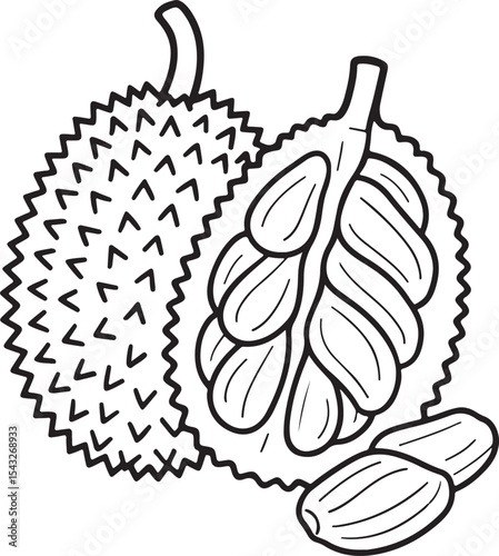 Black and White Vector Illustration of Jackfruit with Pods and Seeds – Line Art Style