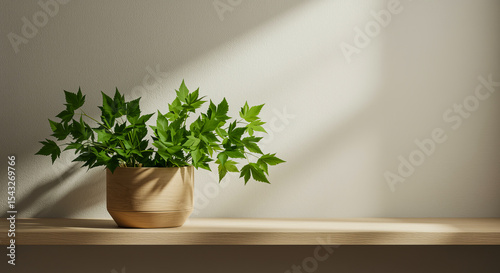 Light Beige Wooden Shelf Green Plant in Light Brown Pot Sunlight Minimalist Home Decor potted plant wooden pot