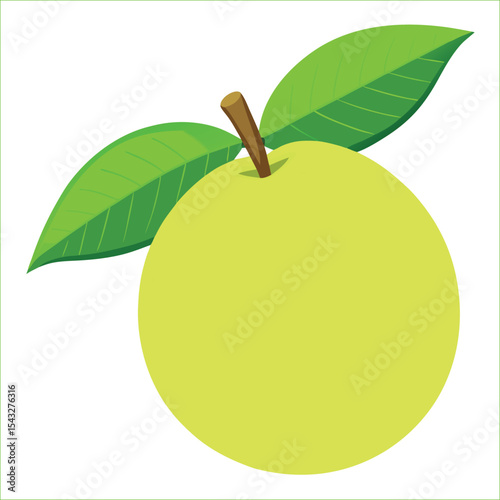 Single guava with leaves isolated on a white background. Perfect for organic branding, botanical prints, packaging design, kitchen wall art, recipe books, skincare labels, and logo design.