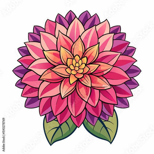 pink dahlia flower