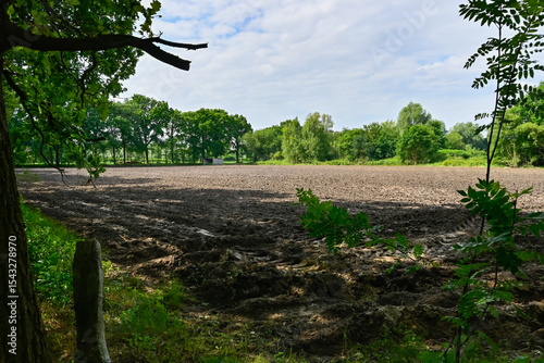Brown plowed agricultural field in the forest between the trees, with blue sky and clouds. Location: Stabroek (Antwerp, Belgium)