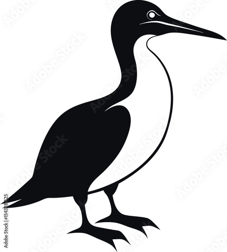 gannet bird silhouette