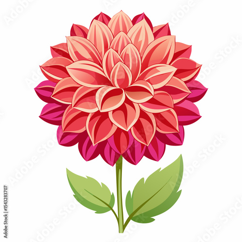 red dahlia flower