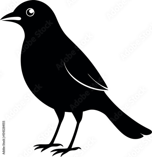 myna bird silhouette 