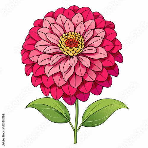 pink dahlia flower