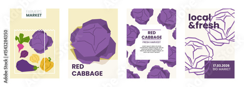 Fresh red cabbage illustration. Simple posters with cabbage vegetable for farmers market. Vector templates with copyspace. Set of harvested salad vegetables in minimal hand drawn and flat style.