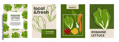 Fresh romaine lettuce illustration. Simple posters with cabbage vegetable for farmers market. Vector templates with copyspace. Set of harvested salad vegetables in minimal hand drawn and flat style.