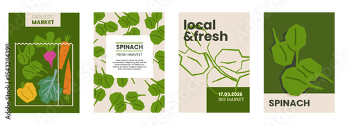 Fresh spinach illustration. Simple posters with leafy vegetable for farmers market advertising. Vector templates with copyspace. Set of harvested spices in minimal hand drawn and flat style.