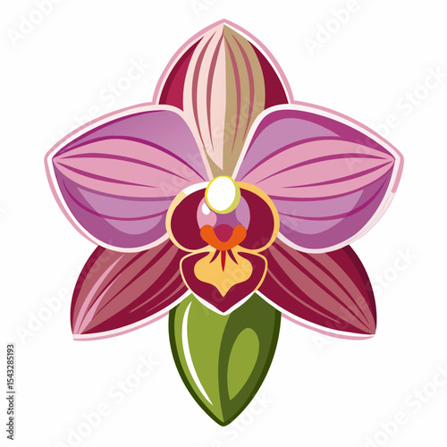 orchid isolated on white background