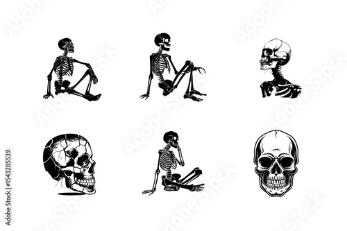 Six skeleton silhouettes skulls and poses