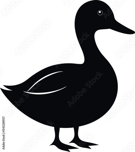 vector illustration of a duck