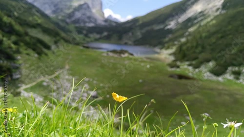 Explore Zireinersee Lake in Tyrol with serene landscapes of the Austrian mountains and vibrant wildflowers during a sunny day in the alpine region