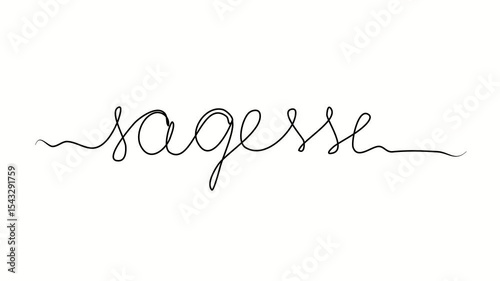 Wisdom text in French. One line drawing doodle hand drawn. Video 4k  object illustration, minimalism hand drawn sketch design modern new