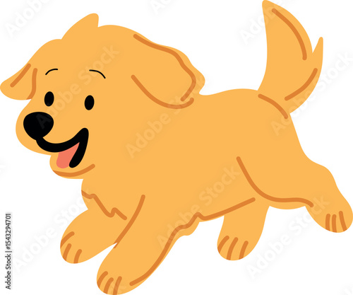 Golden Retriever Puppy