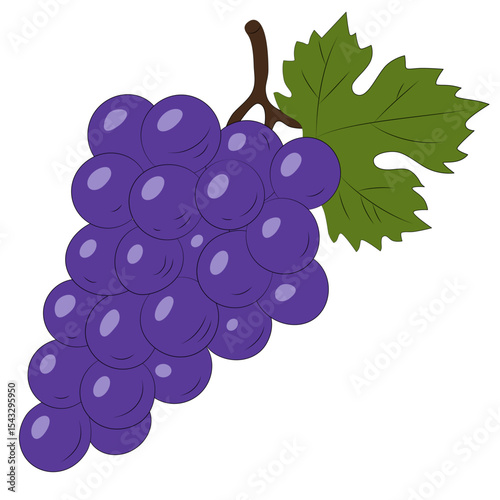 Handdrawn Grapes With Pretty Green Leave