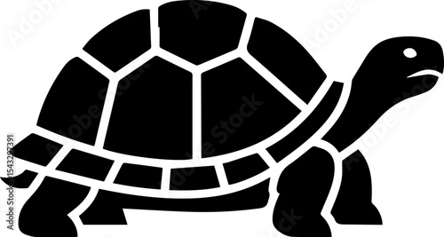  Tortoise Silhouette