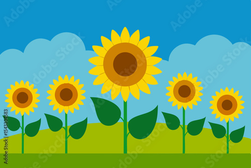 Bright yellow sunflowers bloom under a blue sky, creating a vibrant summer landscape in the field
