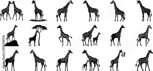 giraffe silhouette vector Bundle, on white background,
