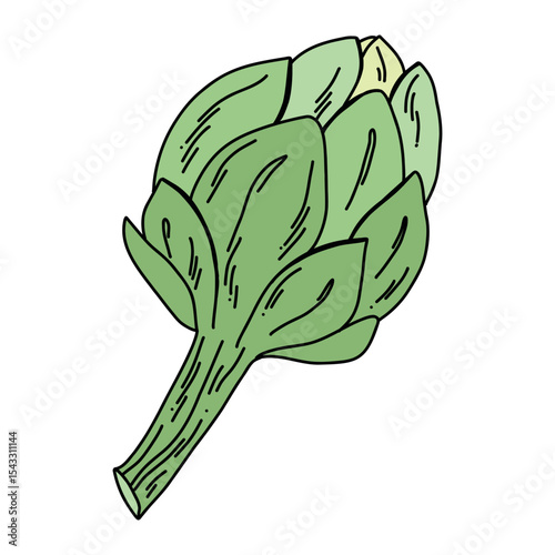 Vector illustration of fresh green artichoke with purple tips, food clipart for design projects