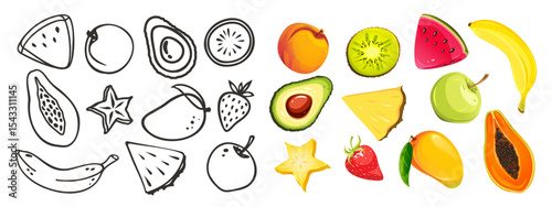 Set of tropical fruits. Watermelon, papaya, pineapple, etc. Fruits and berries outline set. Vector illustration of exotic fruits on white background.