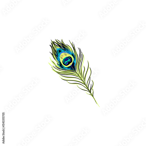 colorful peacock feather vector without background