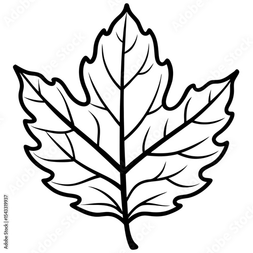 Golden Oak Veins