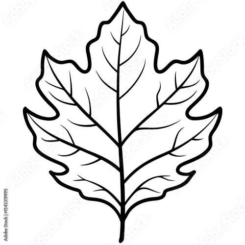 Golden Oak Veins