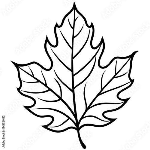 Golden Oak Veins