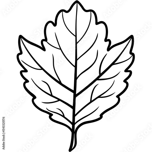 Golden Oak Veins
