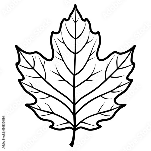 Golden Oak Veins