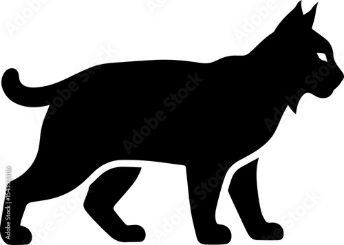 silhouette of a cat