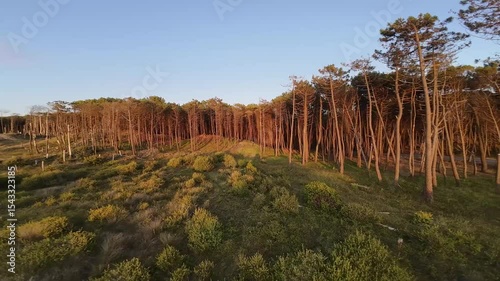 Nature, Coastal landscape, Ocean, Sea, Sand, Shore, Waves, Dunes, Cliff, Trees, Sunshine, Golden hour, Horizon, Tranquility, Scenic view, Wilderness, Seaside, Twilight, Breeze, Natural light, Outdoor 