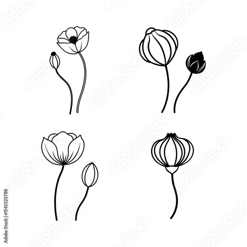 Poppy with seed pod line art