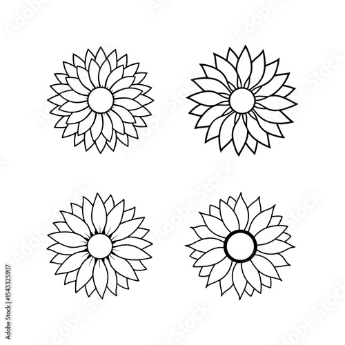 Sunflower head close up line art