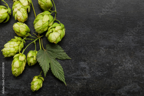 Valokuva Green hops cones on black background