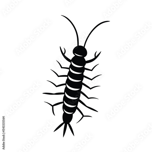 centipede insect black vector