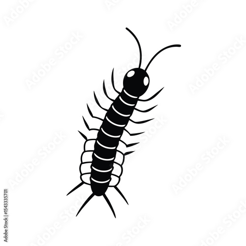 centipede insect black vector