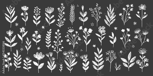 Spring white pencil botanical illustration with hand-drawn wildflowers