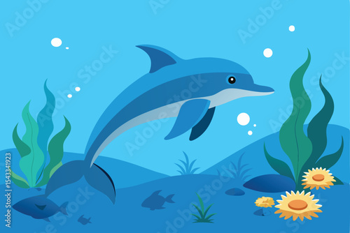 dolphins underwater photography