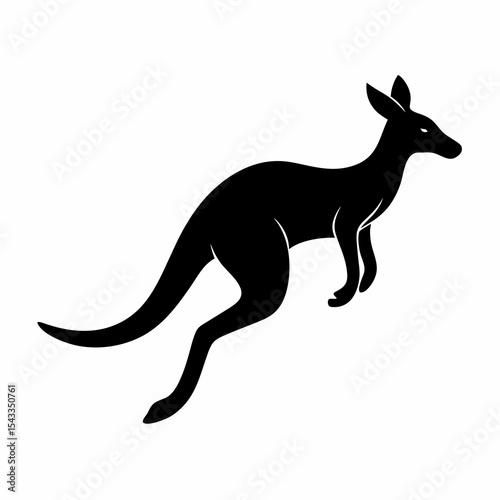 kangaroo vector illustration