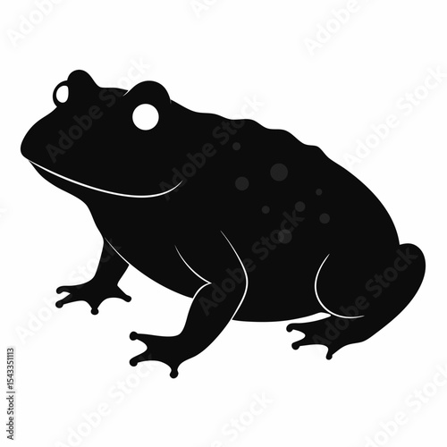 frog on white background
