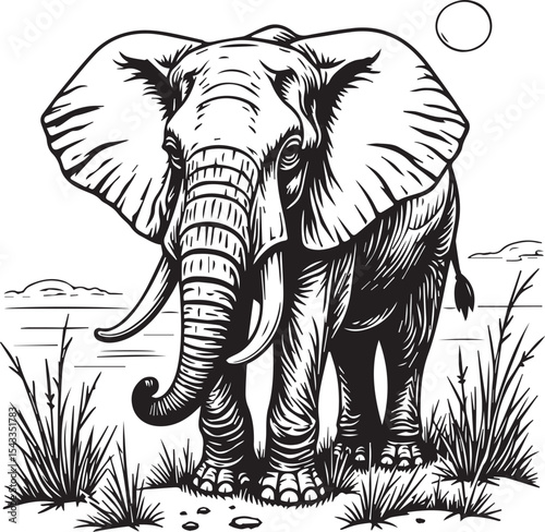 Majestic Elephant Line Art: This striking line art illustration captures the imposing presence and grandeur of an African elephant, meticulously detailed with each wrinkle and curve.