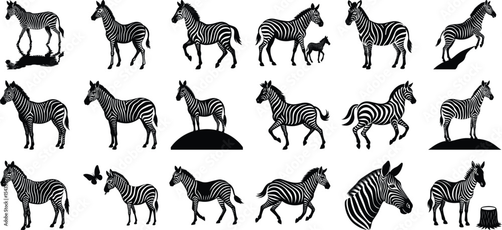 Obraz premium Black Zebra Silhouette Vector, on white background.