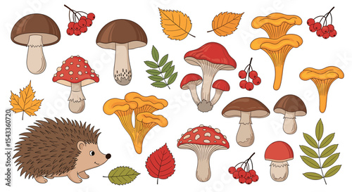 Autumnal Woodland Delights A Collection of Mushrooms Leaves Berries and a Hedgehog